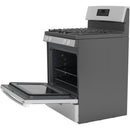  Color_Stainless Steel  -- JGBS61RPSS IMAGE 12