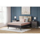  Size_Twin  -- IKidz Coral Mattress and Pillow IMAGE 3