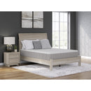 Size_Queen  -- Terra Sleep Medium Mattress IMAGE 3