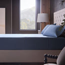  Malouf Classic Cotton MA02TXMRCS - Twin XL/Marine IMAGE 2