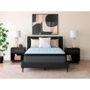 Size_Twin  -- Destin Cove PT Mattress IMAGE 4