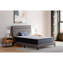  Ashley Sleep Anniversary Edition Firm M42071 Twin XL Mattress IMAGE 9
